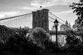 City