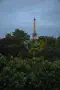 City