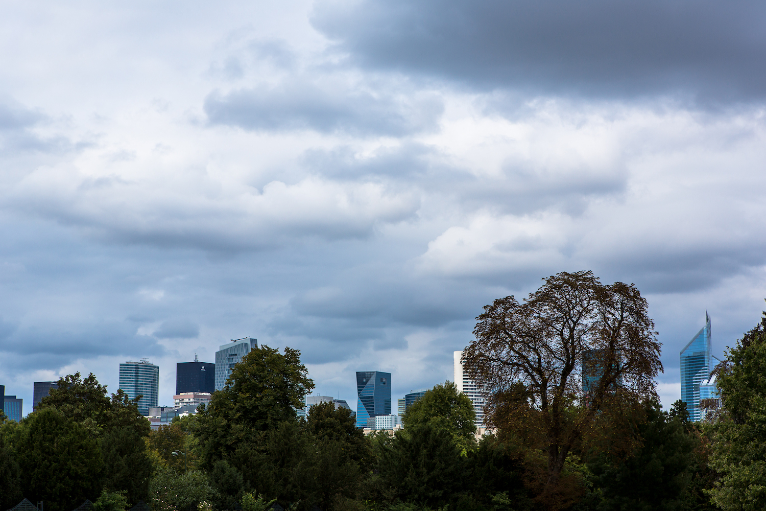 City