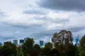 City