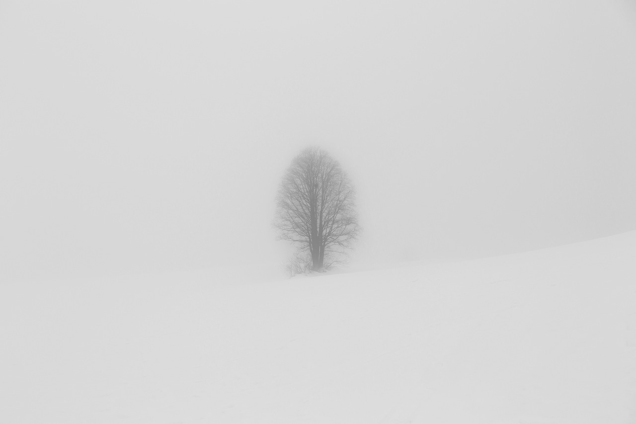 Countryside