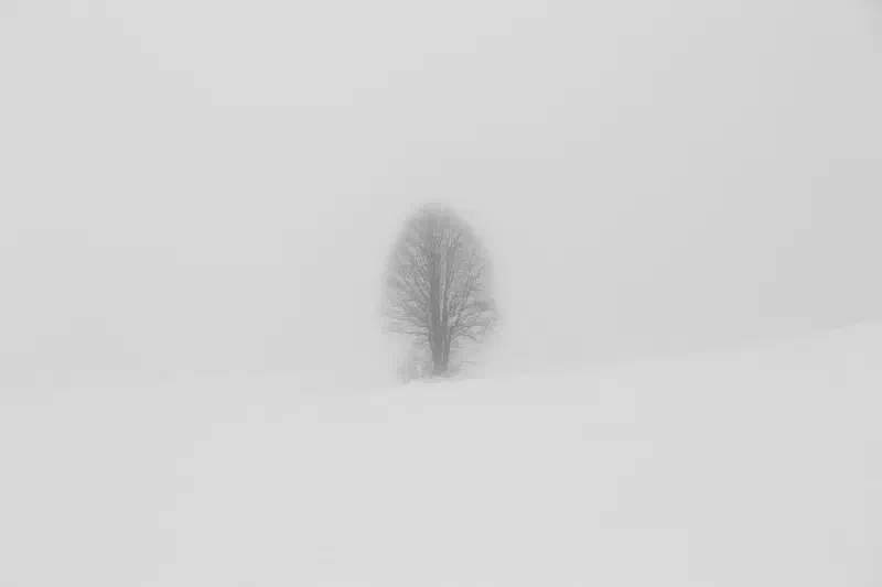 Countryside