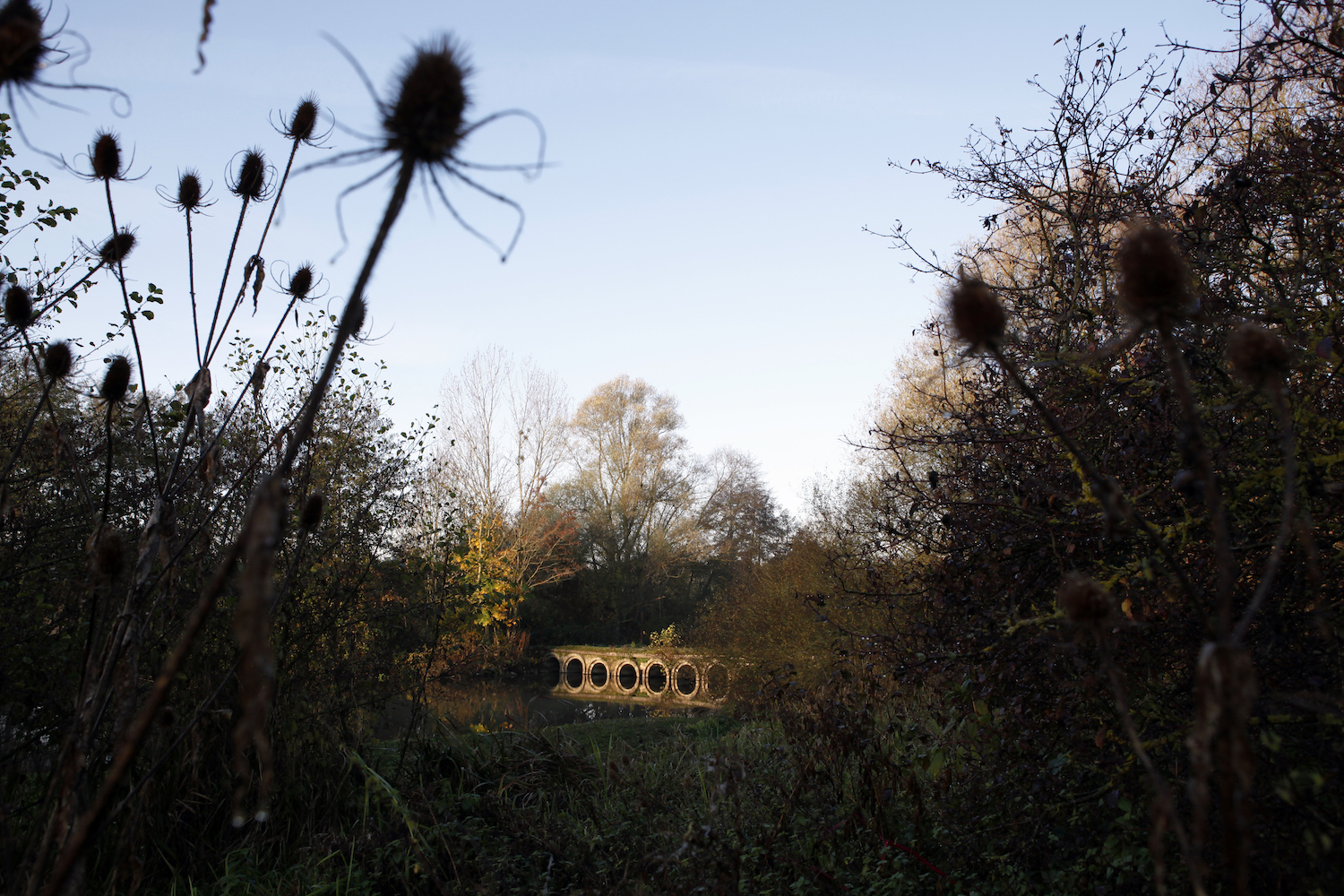 Countryside