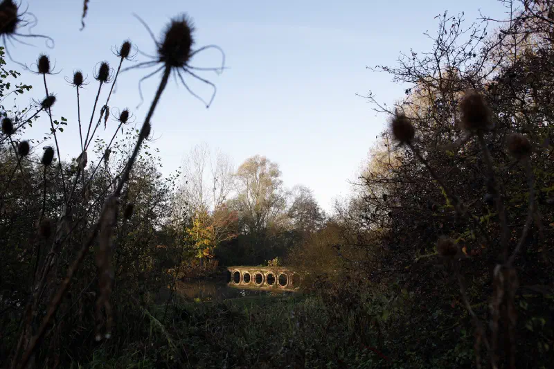 Countryside