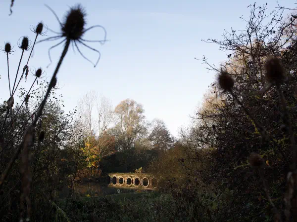 Countryside