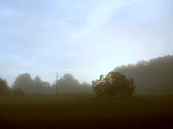Countryside