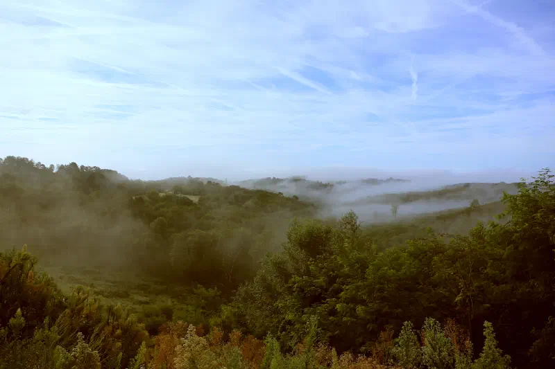 Countryside