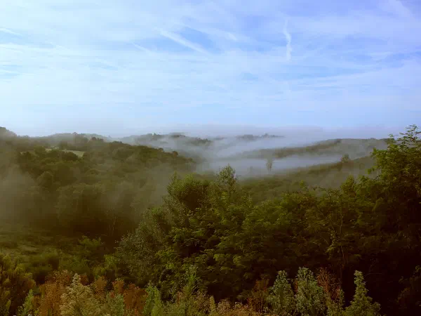 Countryside