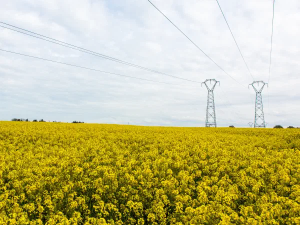 Countryside